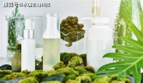 甲醚|植物成分解析 | 海茴香提取物