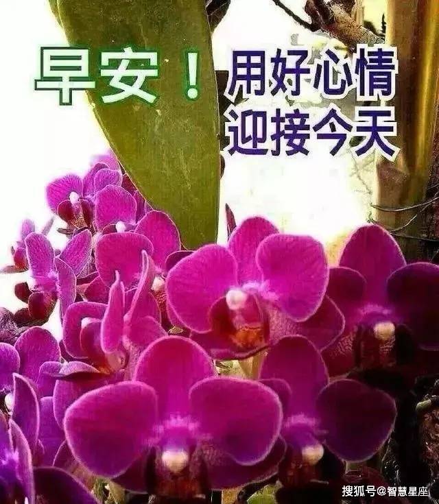 8月26日漂亮的早安祝福语动态美图 最新的早上好祝福送大家 生活