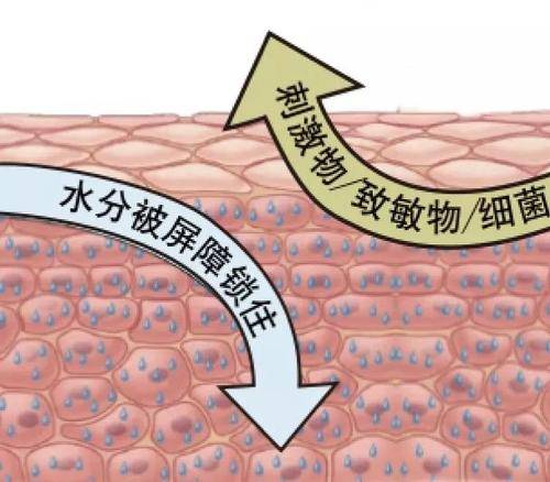 因为|外油内干是不是营销噱头？