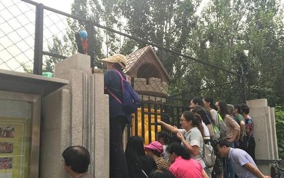 方法|要开学了，小班家长比孩子还要焦虑？园长：三种家长请别送孩子