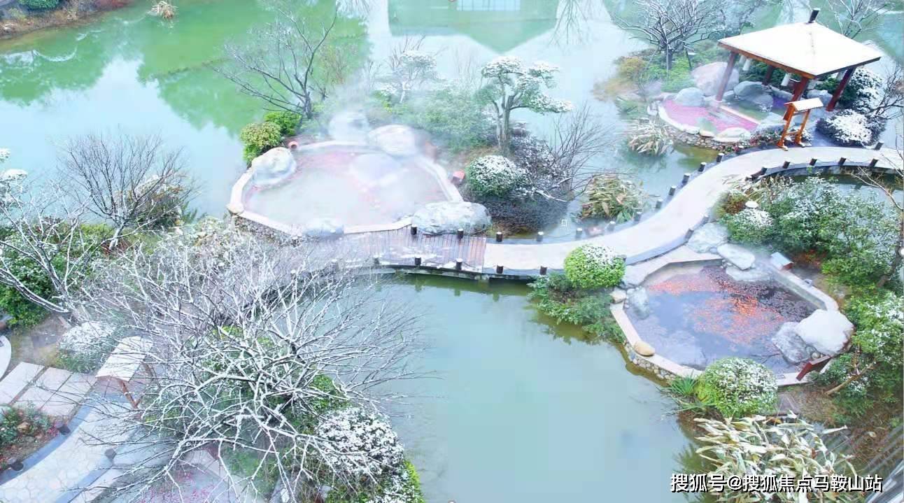 46114e180d884b319219452b95ba88ca.jpeg