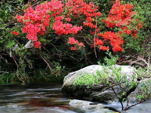 奈元|這世上，有一種距離，無法逾越