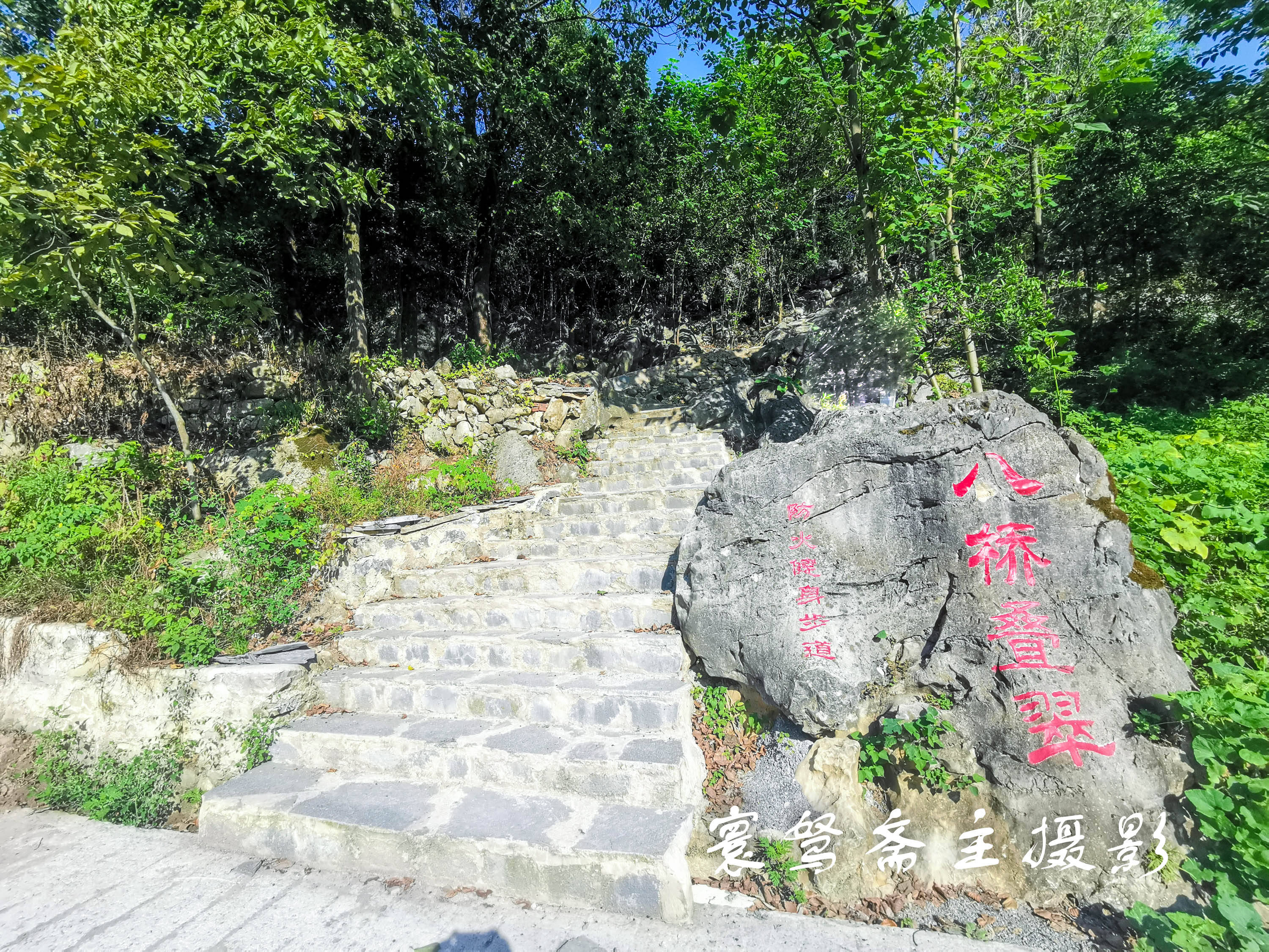 火车|在重庆这个鸟瞰一江八桥的观景台上，竟然还能看见绿皮火车和高铁面对面会车