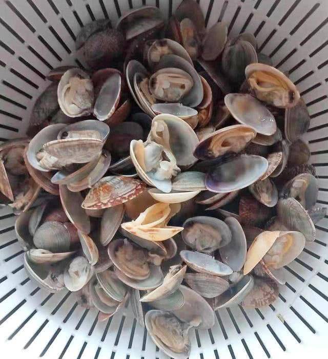 天气|秋天丝瓜这样做,对身体特别好