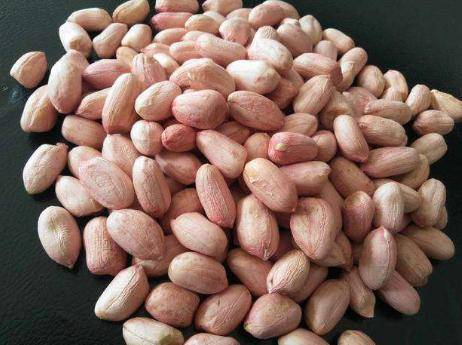 生活|瓜子和花生,一个堪比喝油,一个却能减肥,不少人都搞错了