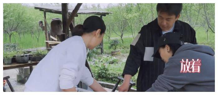 节目组|黄磊变脸，节目组“不留情面”，这位女星再次让综艺陷入僵局