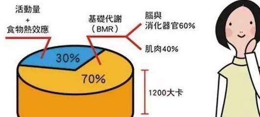 e82ef1987c834132b6a979cb5791b51a.jpeg