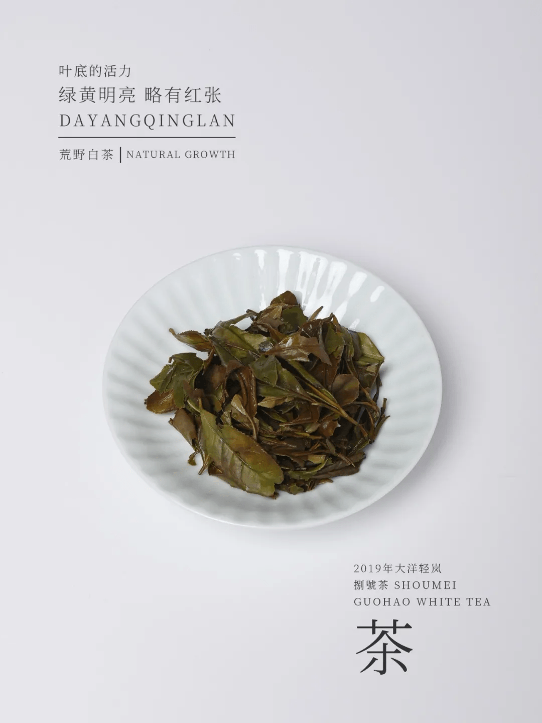 国号|中秋福利:大洋轻岚超值大礼盒