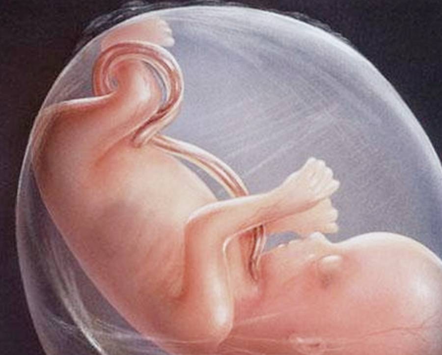 子宫|孕妇喝水要选对时间段，这4个时间补水，会让羊水更干净！