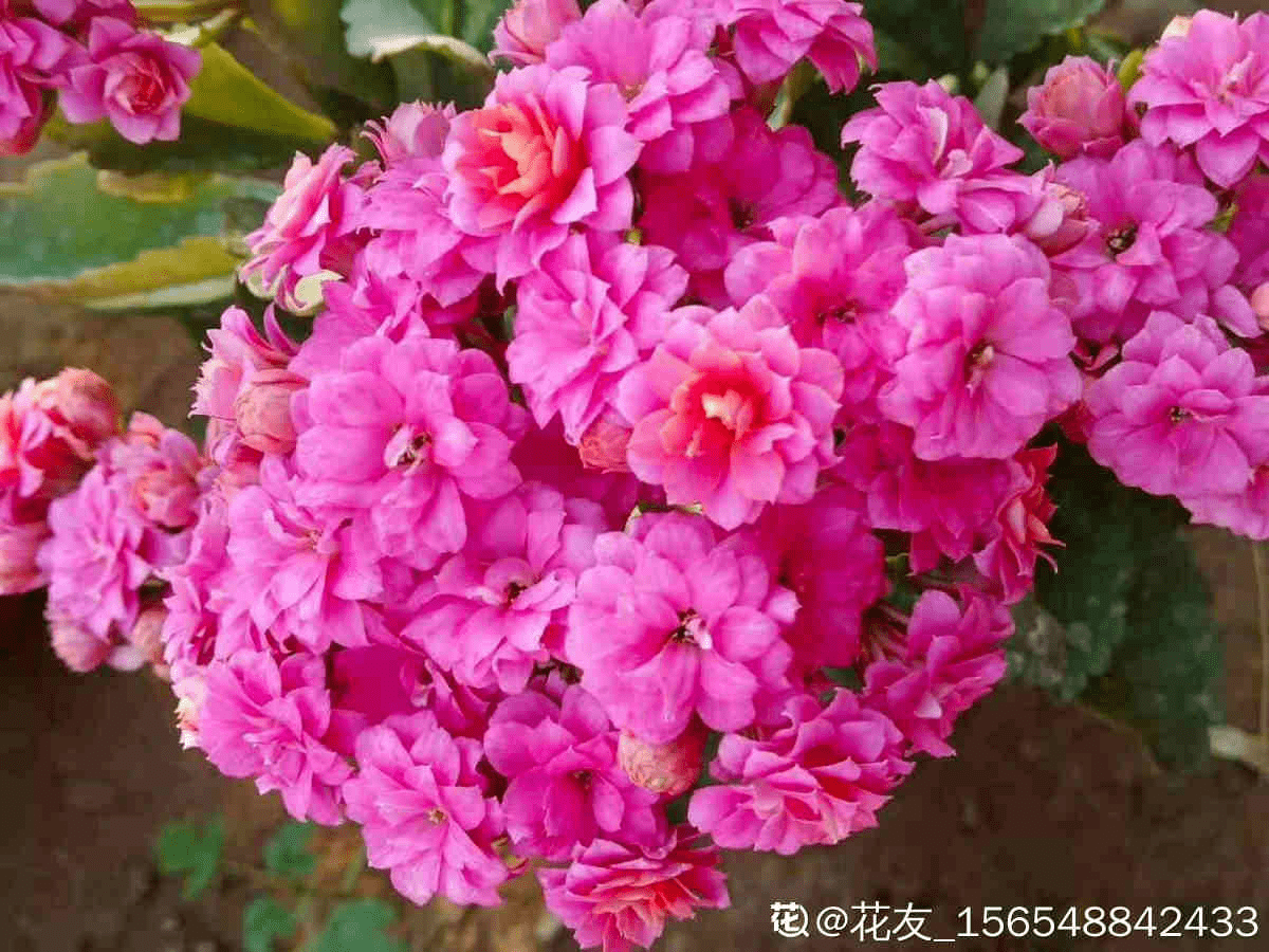 2e921c40c4d541618e974ad5f32f4950.png