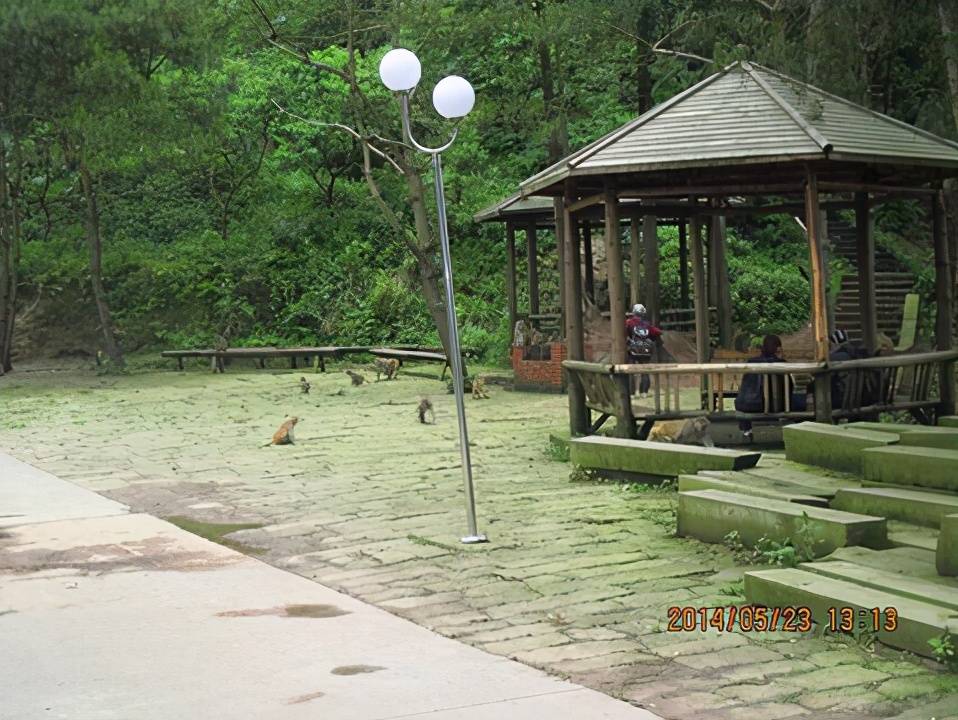 位置:重慶市涪陵區雨台山南起烏江,西北起長江,東臨紫爐溪,三川匯聚.