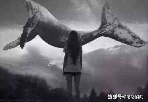 5a66172244494570a8eee58a3aceeb96.jpeg