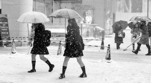 家长|为何零下20多度，日本大街还有很多“光腿美女”？不愧是爱美民族