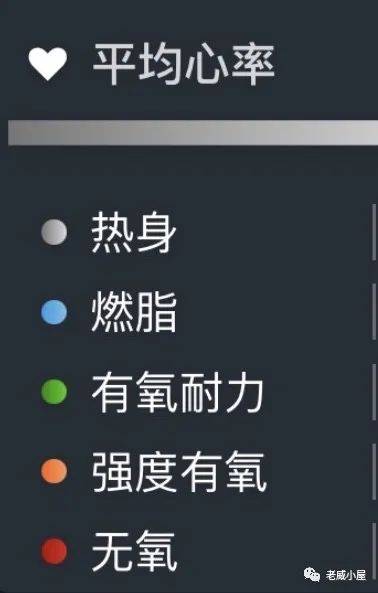 训练|有氧基础是跑步的重中之重——我的有氧之路