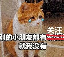 a7fe9d1797fe49ac9815a677aecbd6a7.jpeg
