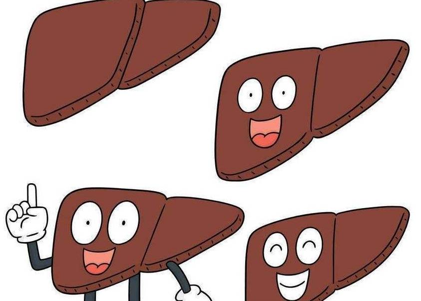 补充|慢性乙肝选择水果，如何既能解暑清热，又能够促进肝脏代谢？