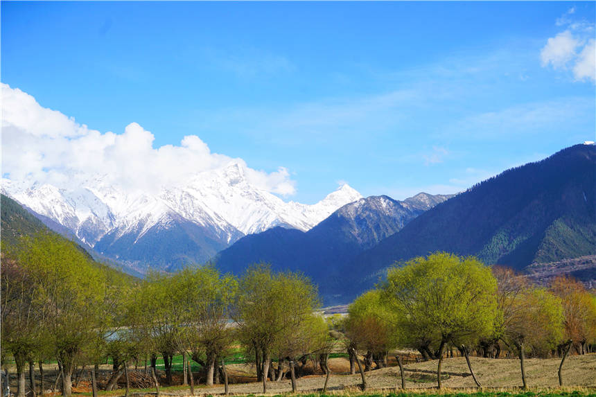 雪山|西藏林芝有一个小山村，是拍摄南迦巴瓦峰的最佳位置，进来不容易