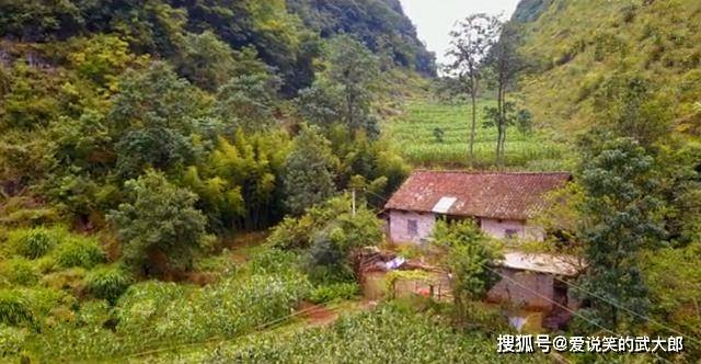 贵州山坳里发现一户人家，四周无其他住户，独居深山不孤单吗