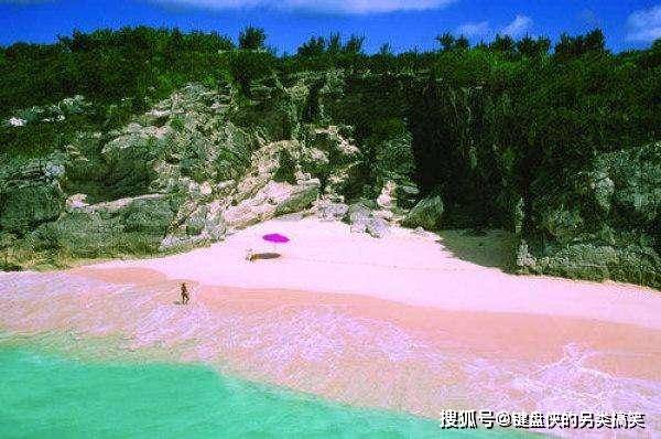 3英里的粉红色沙滩，布满了动物尸骸，却成了游客至爱之地