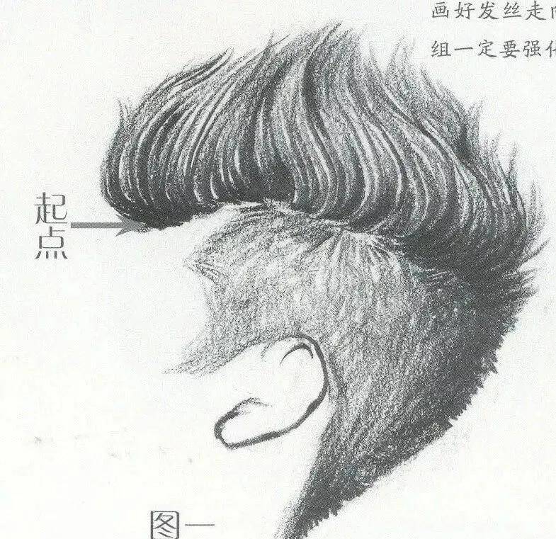 发型|美术速写技巧篇：头部头发的五大刻画要点