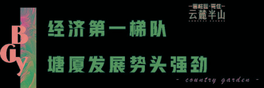 乡镇gdp排名_GDP将迈入700亿!东莞这个镇区即将雄起!