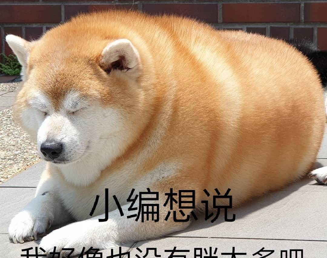 什么|马嘉祺的理想型姐姐标准