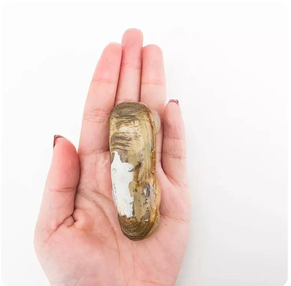 月经|月经期多吃点儿不胖人？这5个经期饮食误区得远离