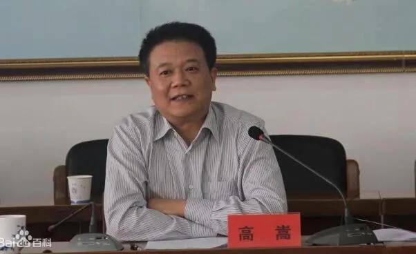 嘉善人大常委会原副主任高嵩接受纪委市监委纪律审查和监察调查