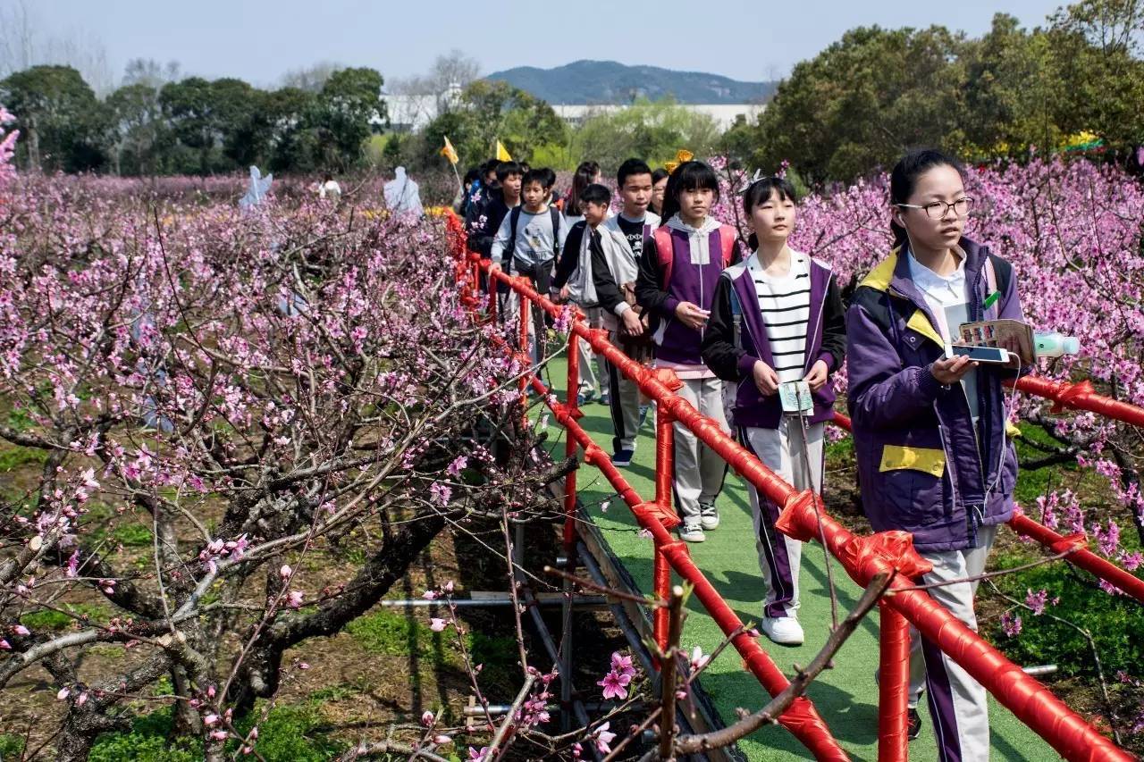 宁波市曙光中学春游图片