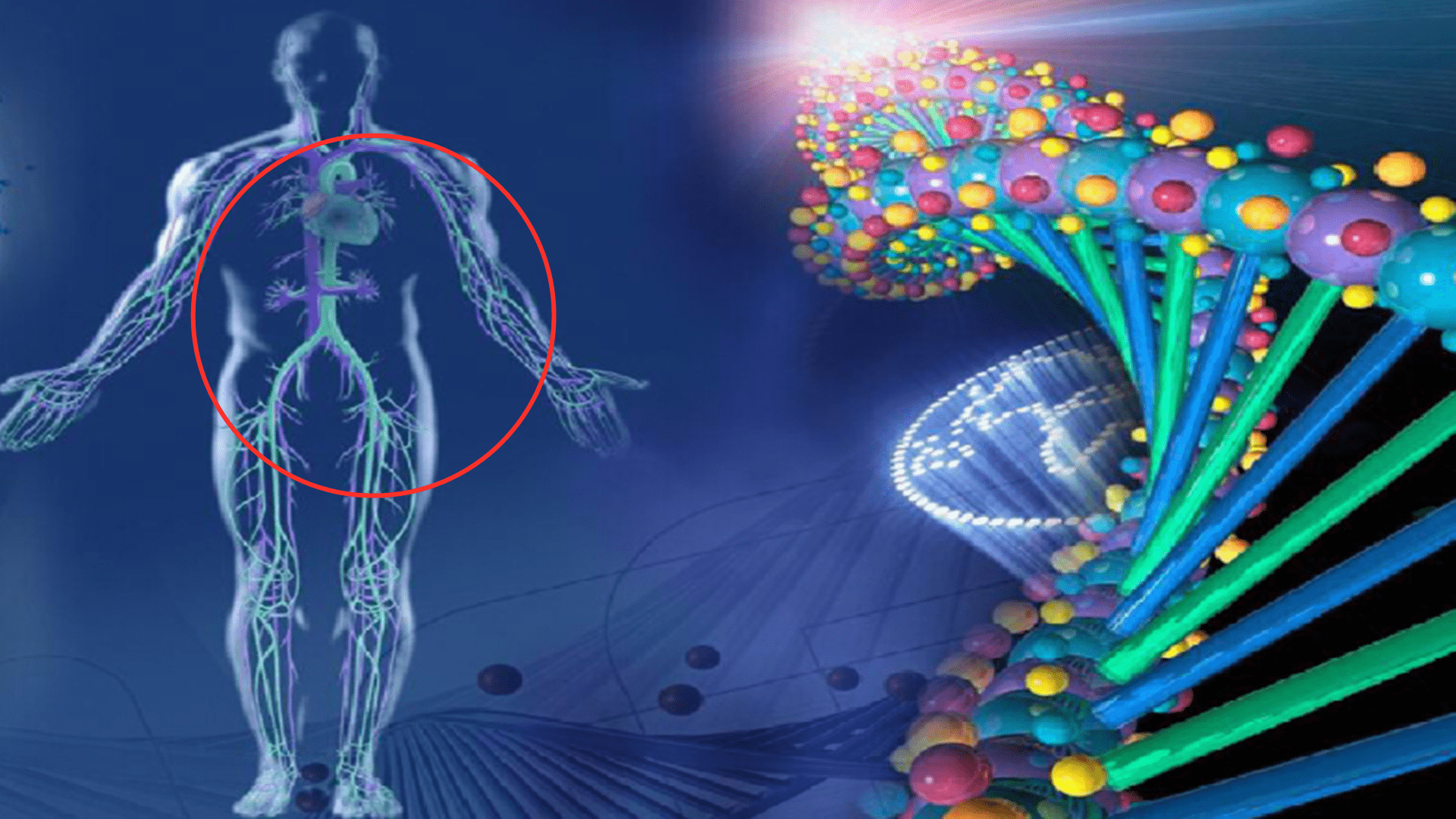 检测|微量元素检查是个坑？判断孩子缺锌缺铁缺钙，有方法