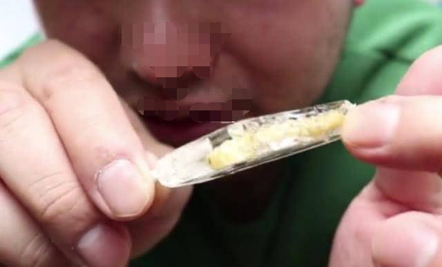 图片|小哥试吃“昆虫棒棒糖”，没想到入口是咸的，一根还要20元！
