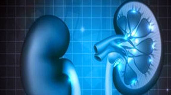 水钠|喝水越多尿越多，多喝水真的会伤到肾脏吗？你真知道？看专家理解