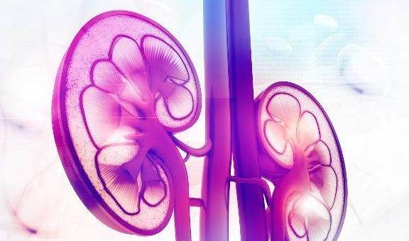 肾脏|尿蛋白升高，可能和这3个“行为”有关，能改掉一个也很好！