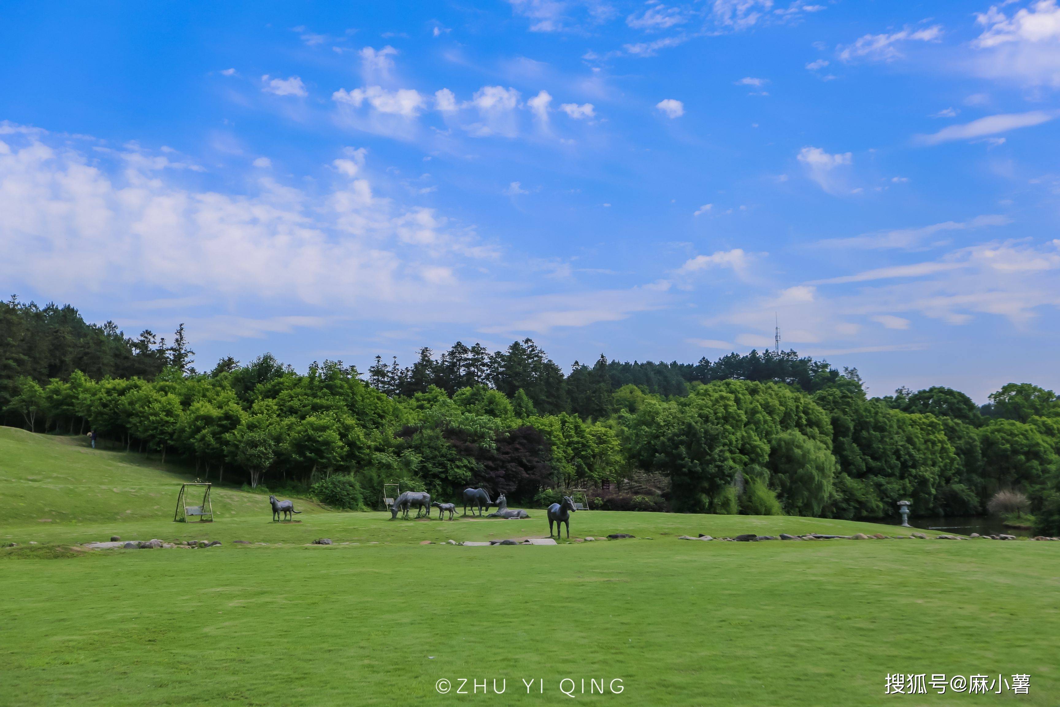 浙江有片堪比非洲的大草原,野生动物众多,是初秋郊游的好去处_中南百