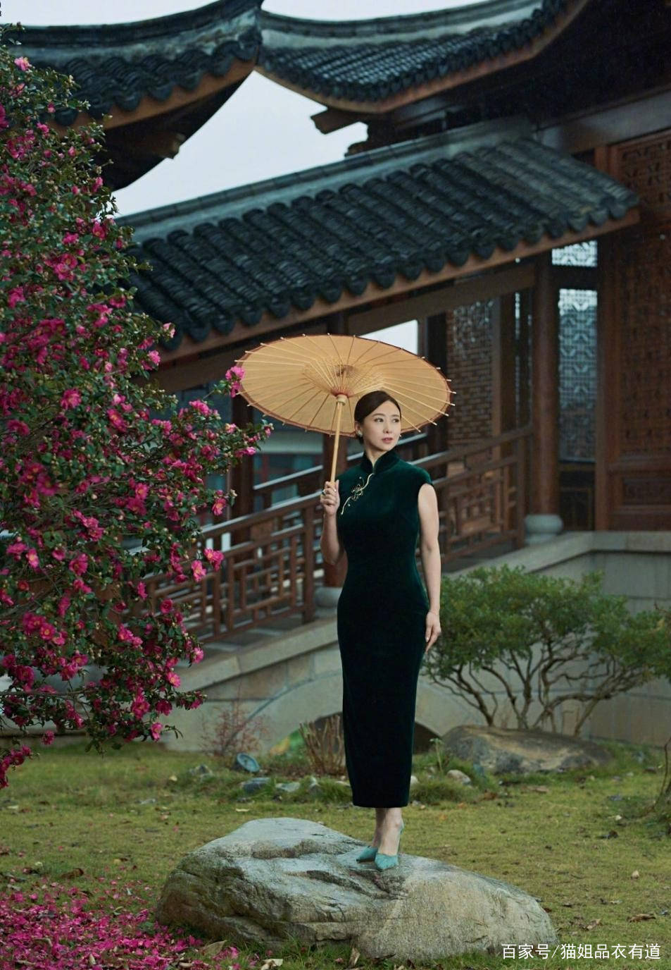 东方|《一剪芳华》翁虹变“旗袍美人”，人虽迟暮，但魅力一点不减