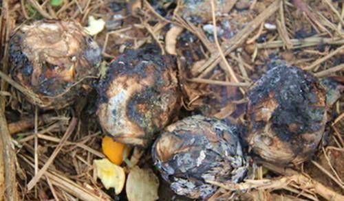 美食|80后的儿童节,印象中的美食,小时候吃过五种以上都是村富