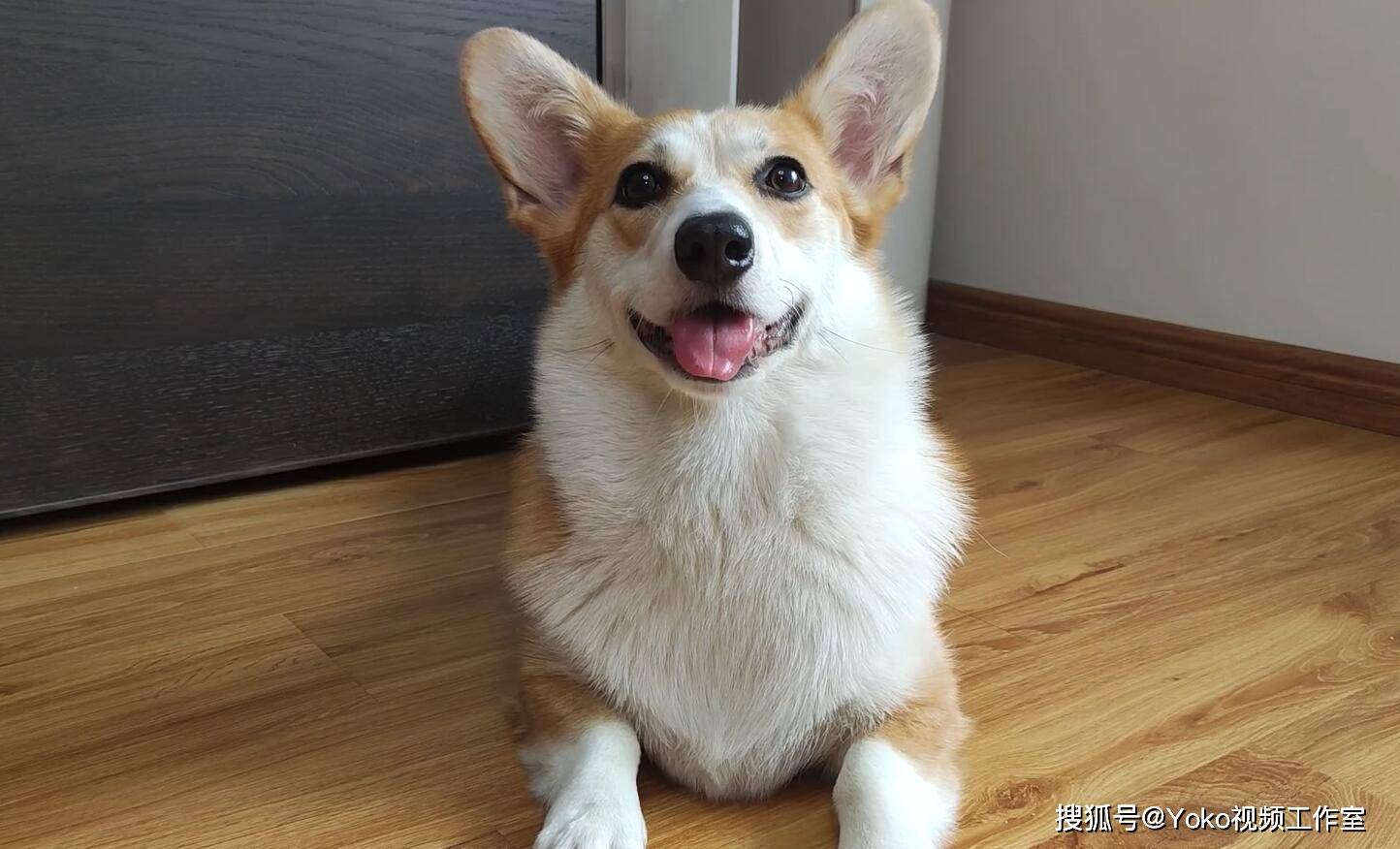 ������up������������������!