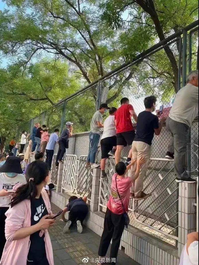 阳光|又是一年开学季|五大护眼措施助你开启新学期