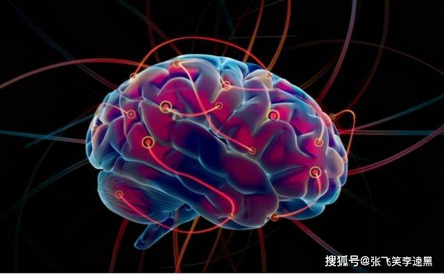 人有几个大脑几个心脏 1946f7ed983e49298474762a20856886.jpeg