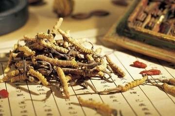 做什么运动对肾好 4fd2ce6ca96649679c8a0552a9e76572.jpeg