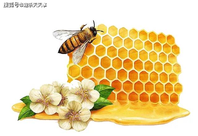 祛痘|“美得冒泡”脸上痘痘反反复复，这三种水果可有效缓解