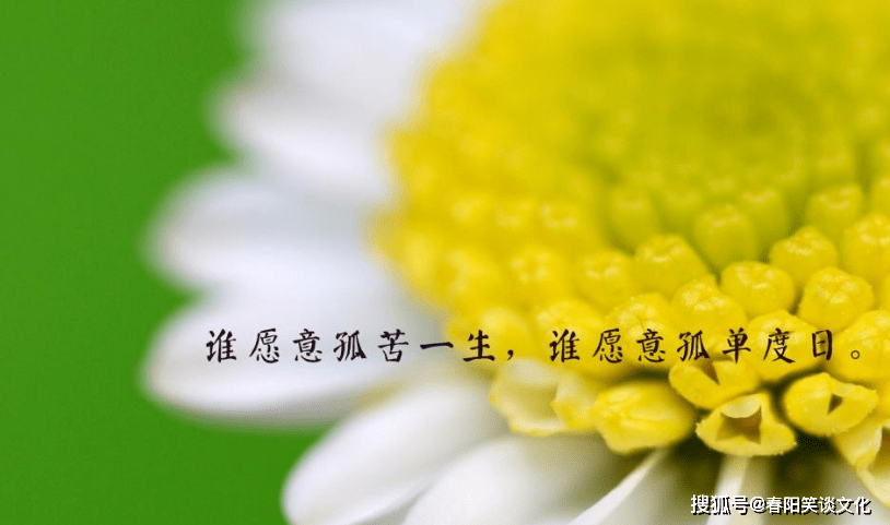 那些让人心疼的伤心句子,伤感虐心,催泪无底线