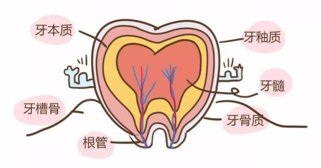 感觉上牙膛有痰怎么办