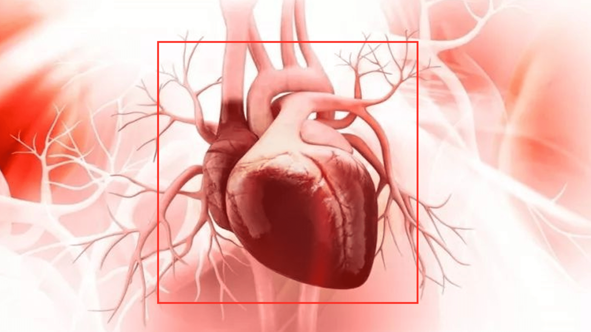 祖国|14岁女孩面容比母亲还老？少女患稀有怪病，长相衰老严重