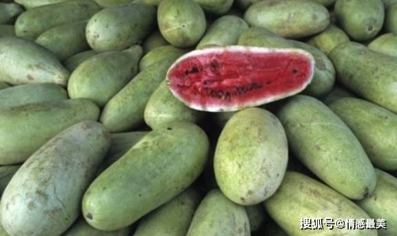 西瓜是凉性食物还是寒性食物 eb1e8f0357a7494c9311435e7d31baef.jpeg