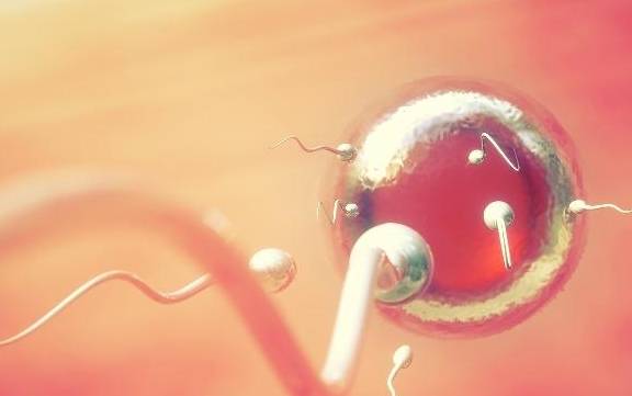 男生怎么减少雌激素 f07f37ab074f4f92996c5ecfdb336586.jpeg