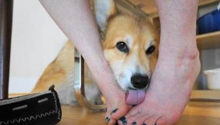 f99390f0bcaf4ac989b53d7ea39800ac.jpeg
