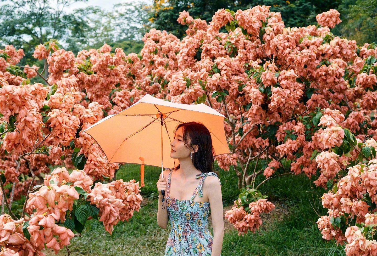 相片|王丽坤晒秋游美照，还拿瓜子喂鹦鹉，网友：想起“伯爵”了