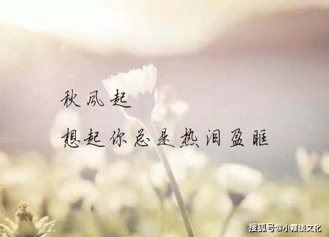 刺心简谱_小星星简谱(2)