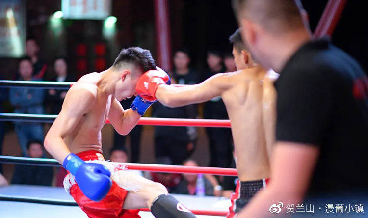 小镇|银川最美小镇旅游攻略,来银川必打卡的小镇!